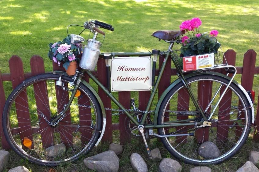 in Karlsborg mit Offenem Kamin - foto 47