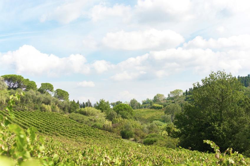 Casa Francesca 1 - foto 40