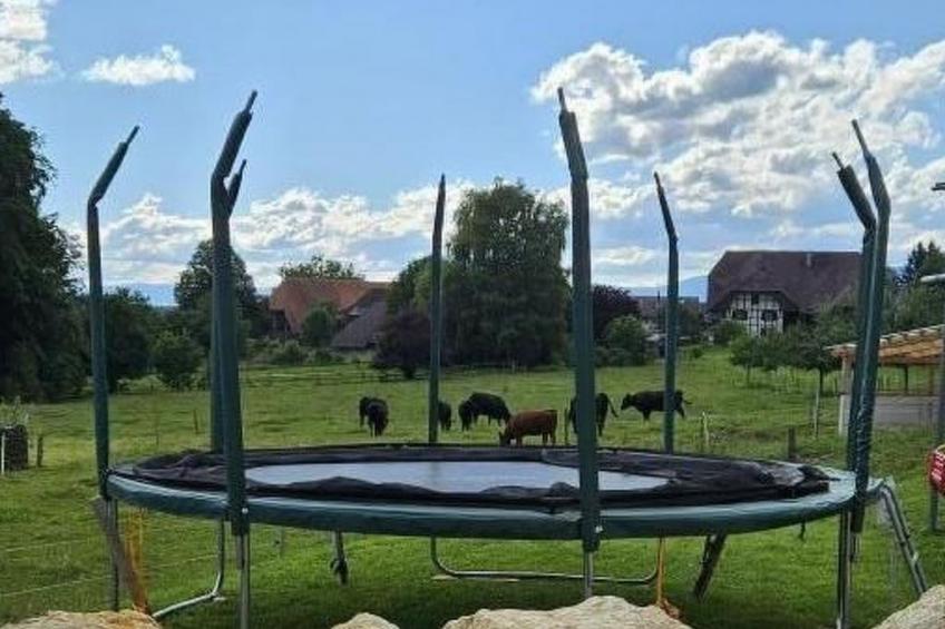 Leinacherhof - foto 14