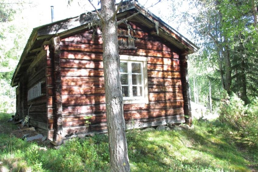 Einfache Holzhütte für das wahre Naturerlebnis am Stausee - foto 6