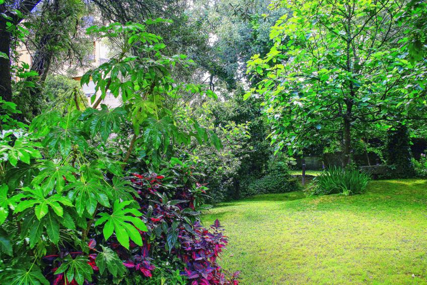 Casa das Devesas - foto 46