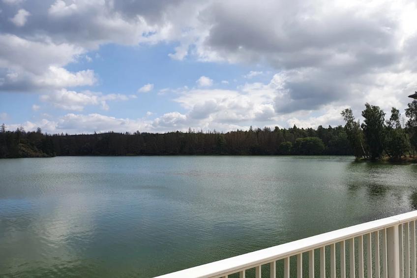 Ferienhaus in Hasselfelde - Haus 59 Blauvogel - foto 44