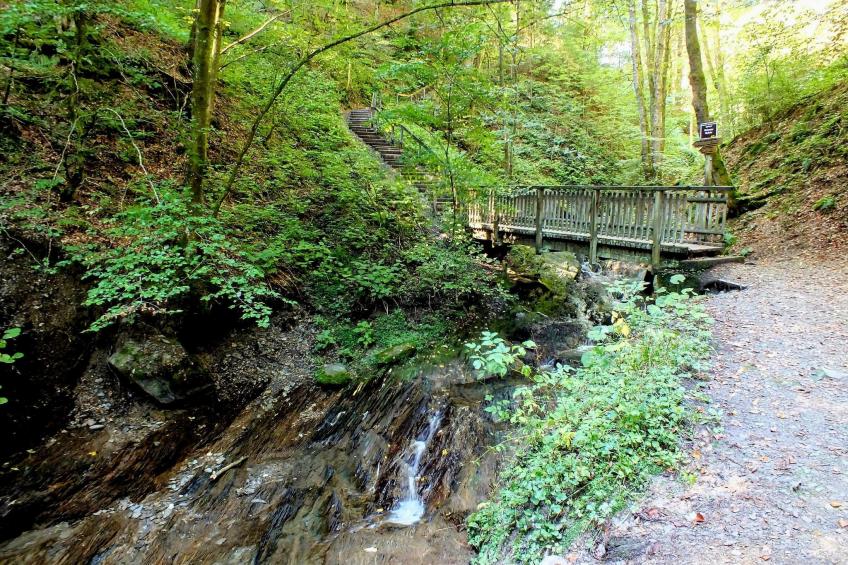 Am Südhang 11 - foto 28