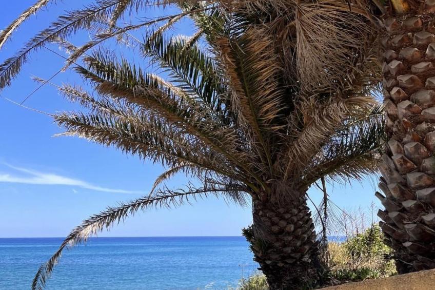 Résidence Amanda - foto 38