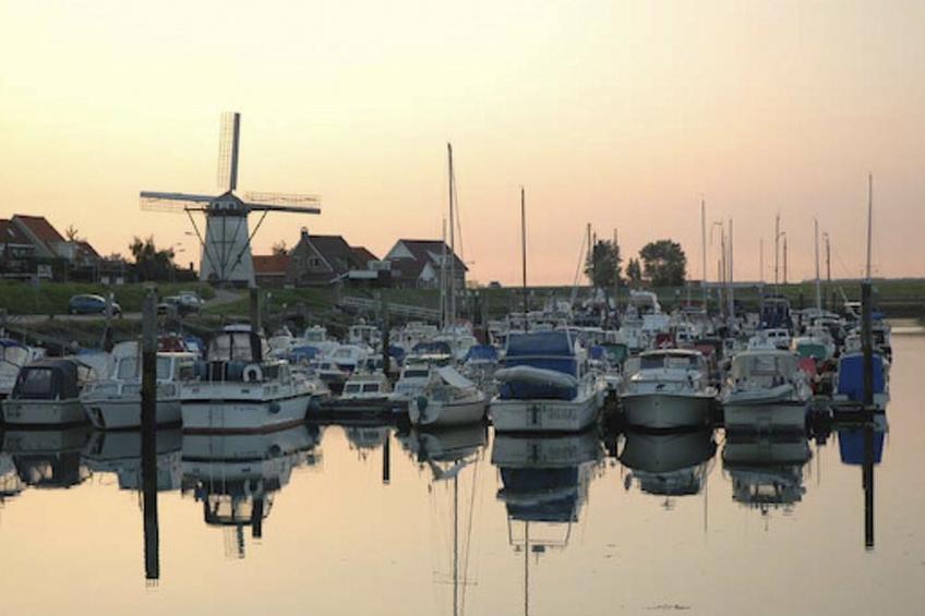 am Meer in Zeeland - foto 16