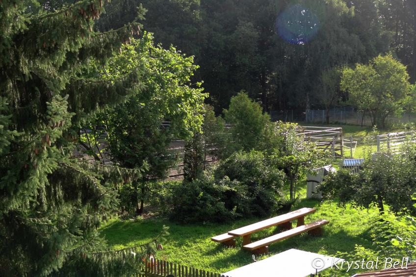 Im Kellerwald - foto 33