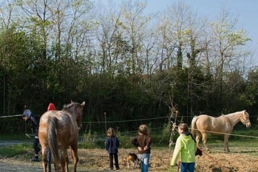 Wohnung Grecale in Castellina Marittima - foto 23