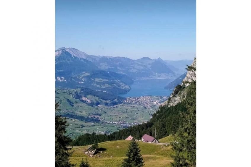 87981 - foto 21