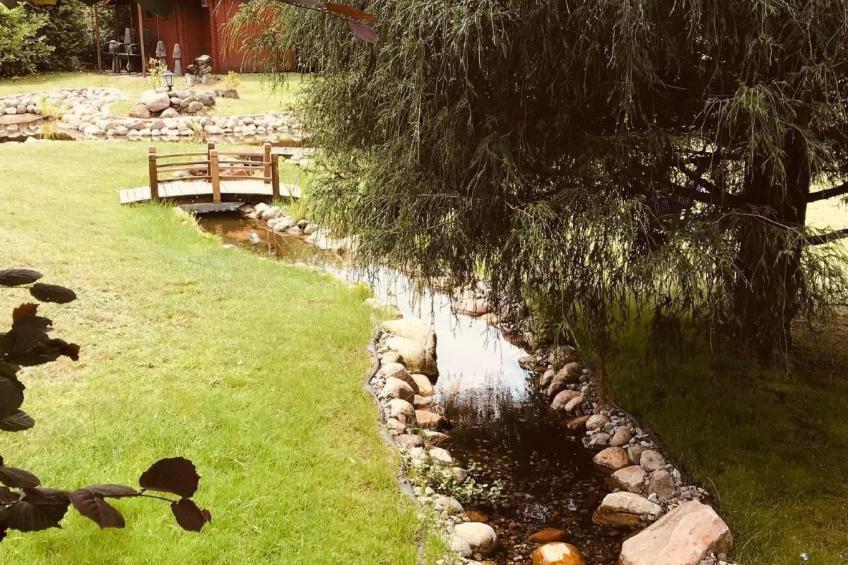 Elbe-Ilenpool -In Ruhe entspannen - foto 22