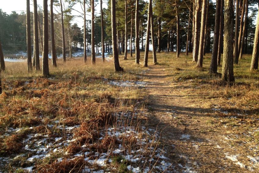 Wunderschönes Haus in einer fantastischen Natur am Meer - foto 18