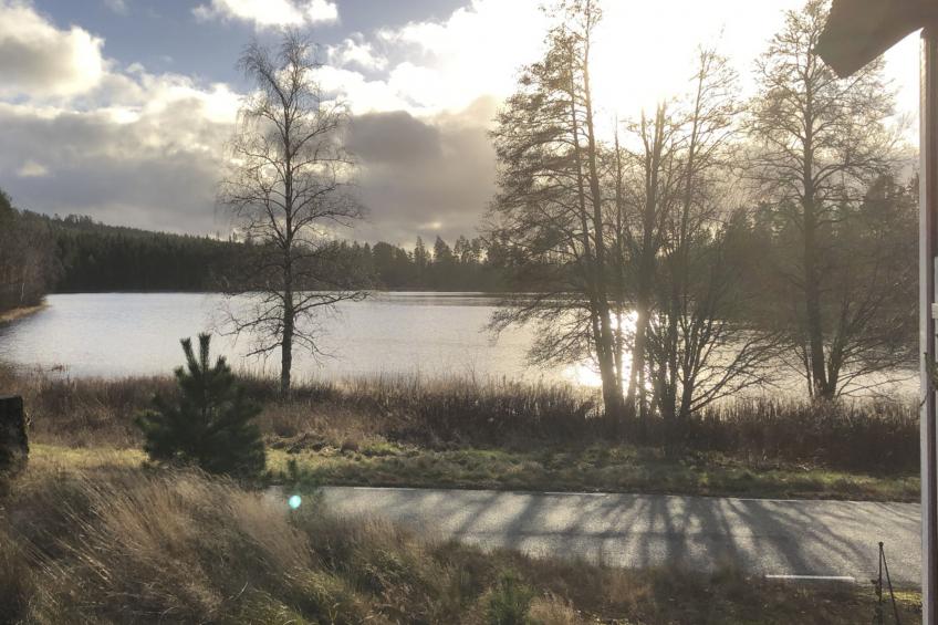 Skuggebo Gårdsjön - foto 15