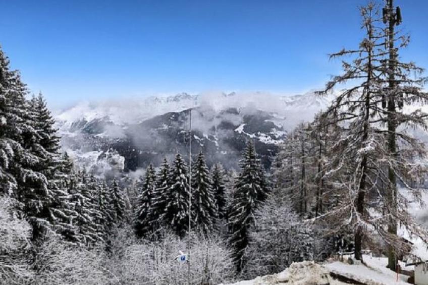 Le Rêve de nos Petites Marmottes - foto 7