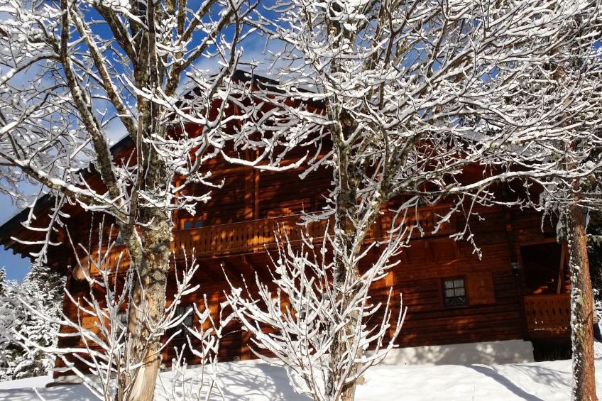 Chalet Carmazin, (Morgins), - foto 6