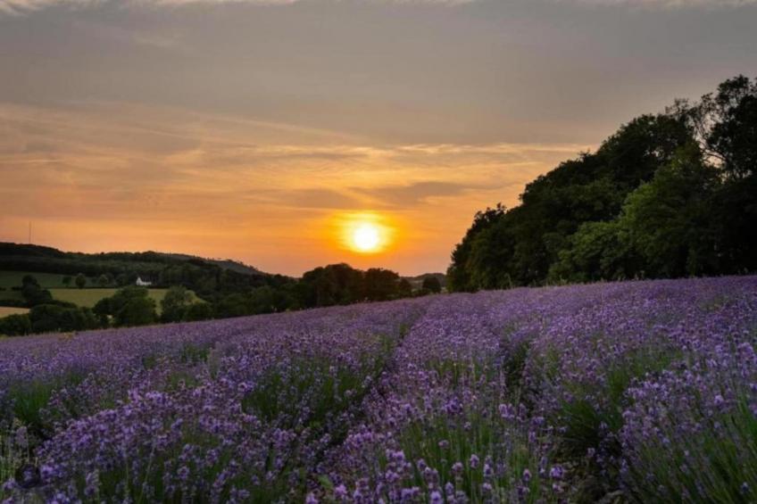 Feriendorf Natur pur - foto 29