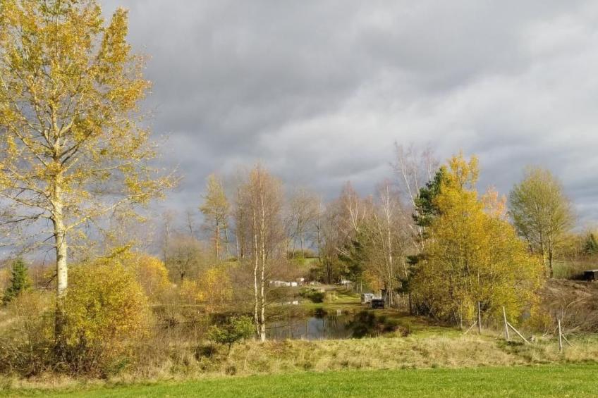 Appartement in Vordorfermühle mit Garten - foto 20