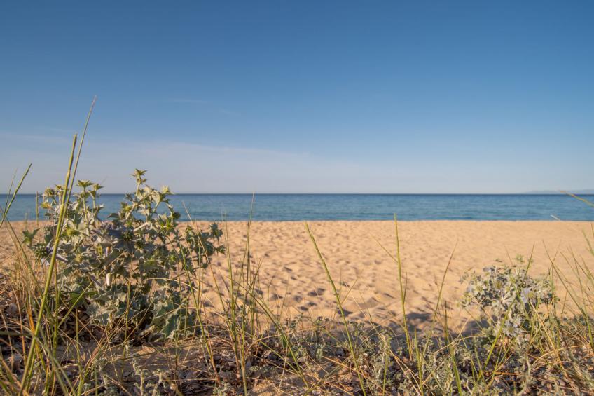 Solanas mare - foto 36