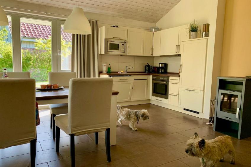 Ferienhaus in Röbel an der Müritz - foto 7