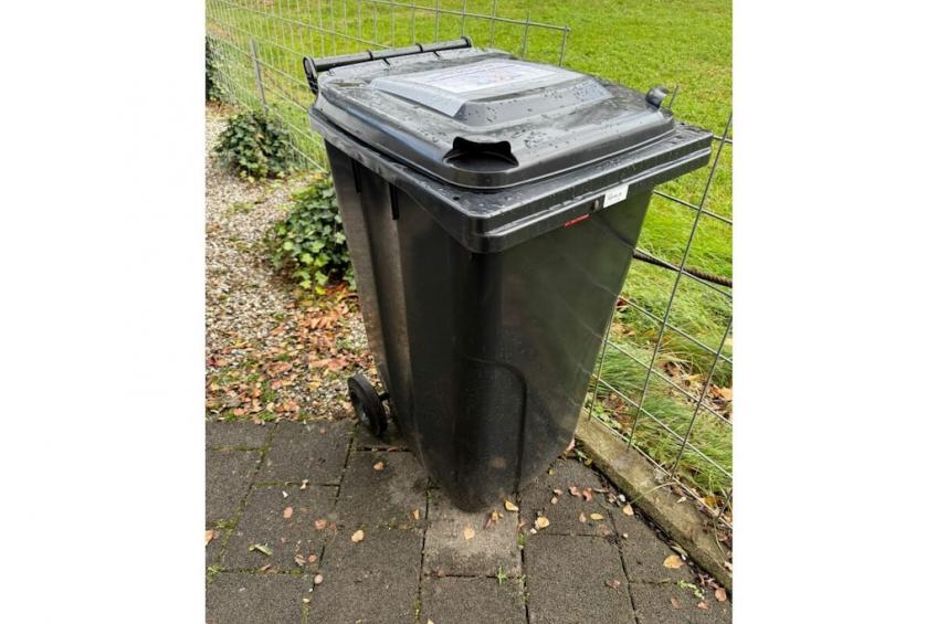 554421 - foto 3