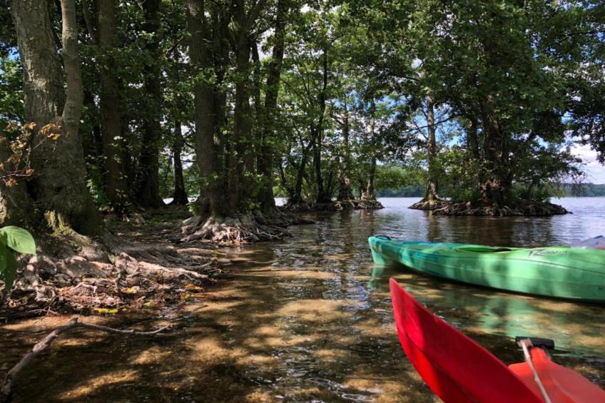 Mobilheim am Goldberger See - foto 27