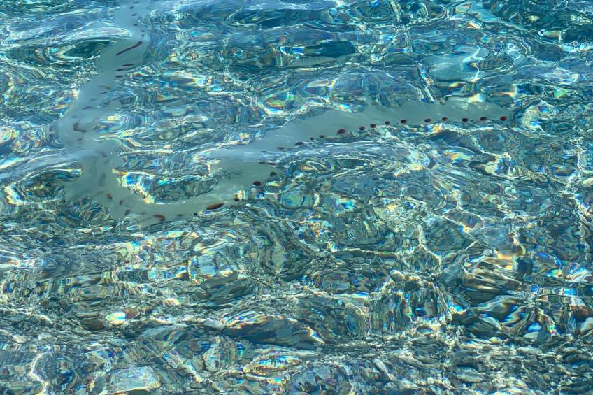 in Badolato Marina - foto 22