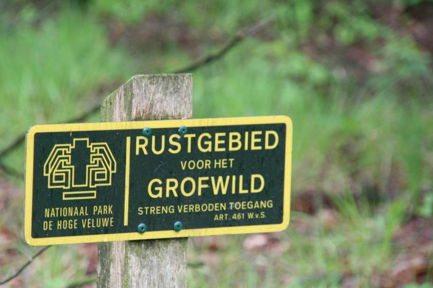 De Veluwse Kip - foto 33
