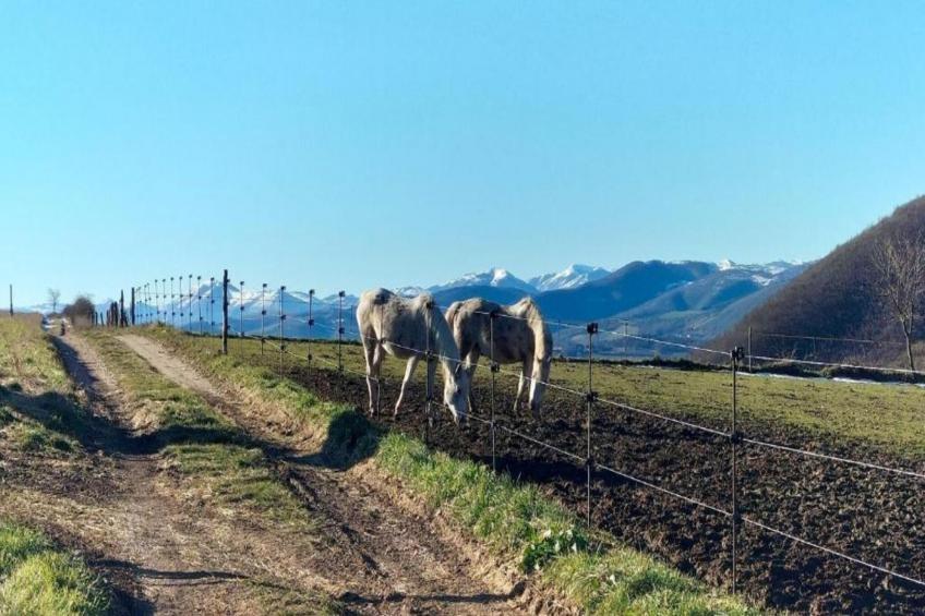 Binnella 10 - foto 32