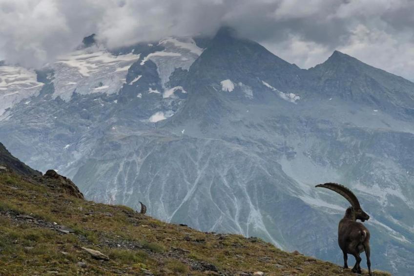 Résidence Le Hameau du Mottaret - foto 27