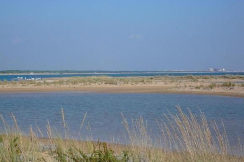 Nettes Ferienhaus in Altura mit Gepflegtem Garten - foto 44