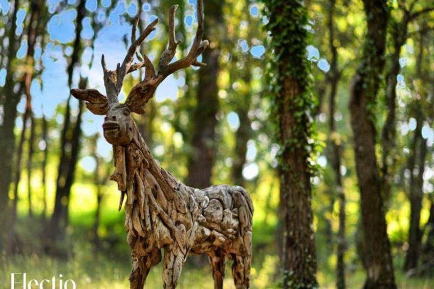 Petite Bastide | Domaine Tour Campanets - foto 36