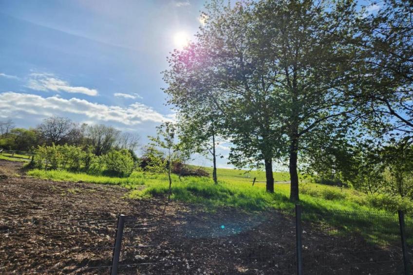 Maison de vacances - NETTANCOURT - foto 31