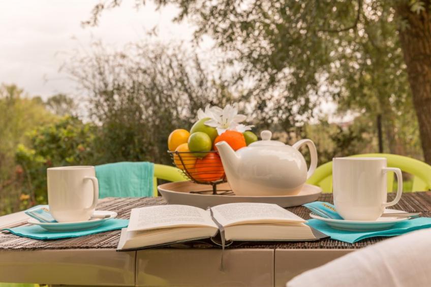 Le Chant des Oiseaux - foto 21