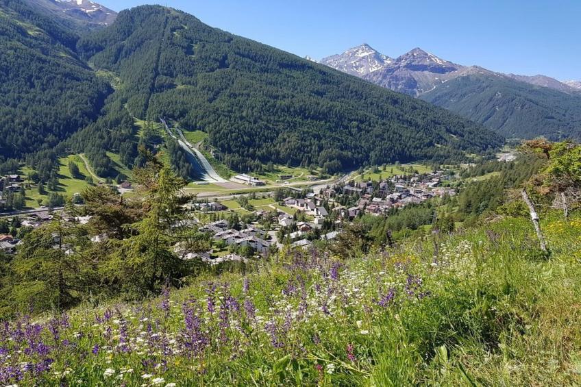 La Casetta Del Borgo - foto 21