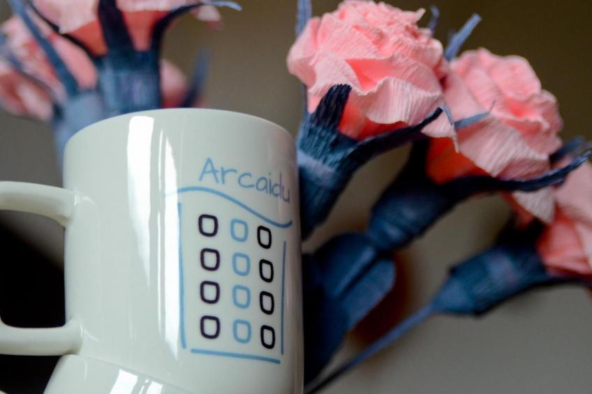 Arcaidu Apartment mit bezaubernder Aussicht - foto 20