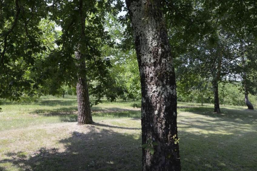 Villa DUXCAAR Beaum. - foto 40