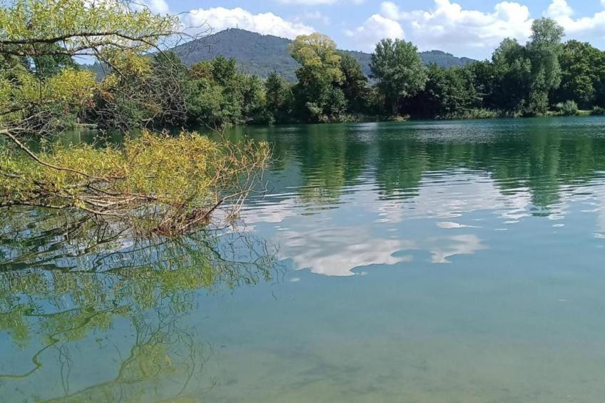 Chalet - TURQUESTEIN - foto 30