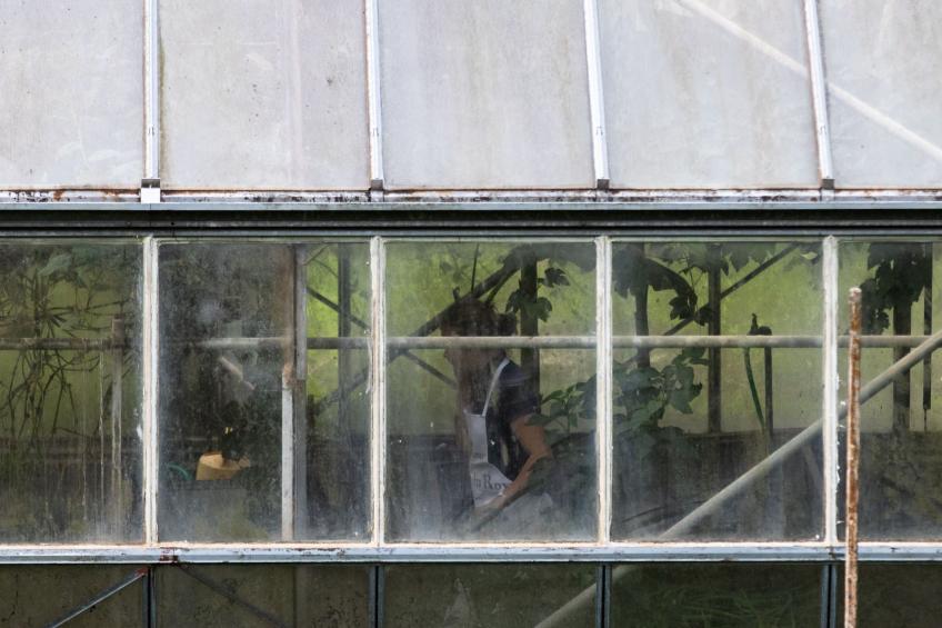 Chateau-Studio Bleu - foto 14