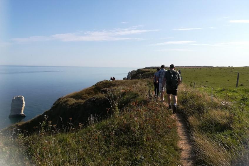 Le Clos du Hêtre - foto 39