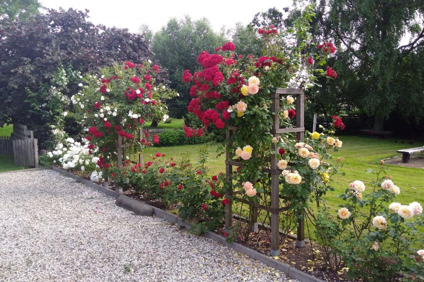 Wohnung auf dem Bauernhof - foto 30