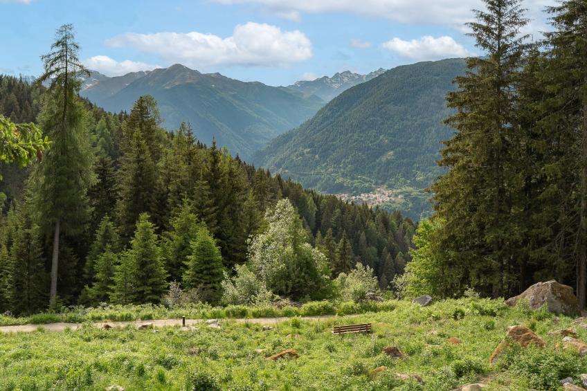 Alpen Nook - Sci e Natura - foto 29