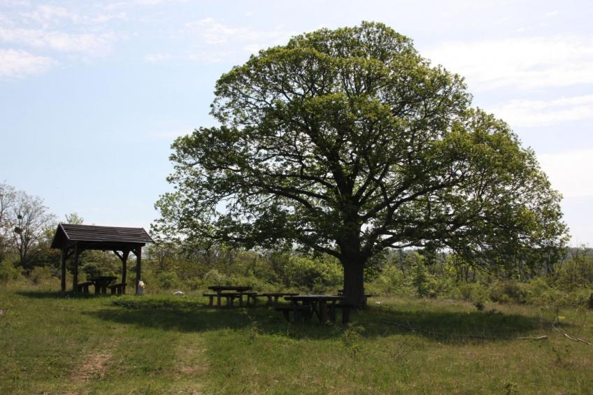 Haus mit großem Garten, Terrasse und Balkon - foto 18