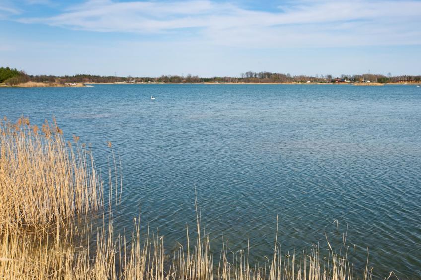 Domek wakacyjny nad Niwką - foto 21
