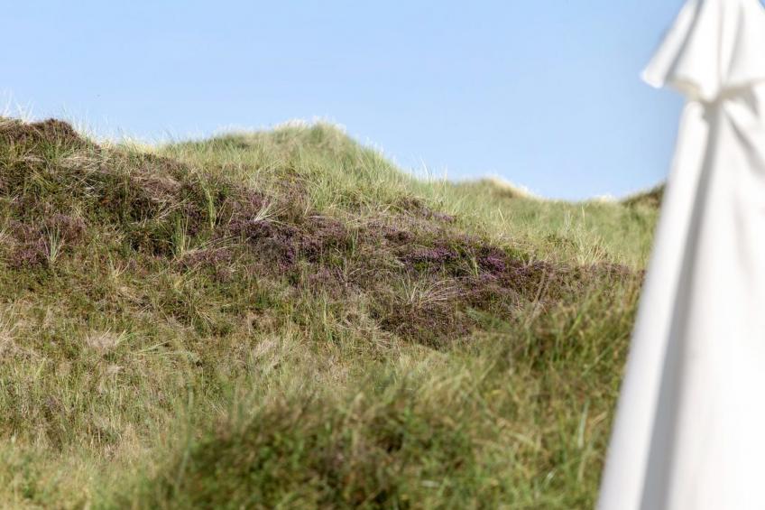 "Marjon" - 400m from the sea in NW Jutland - foto 26