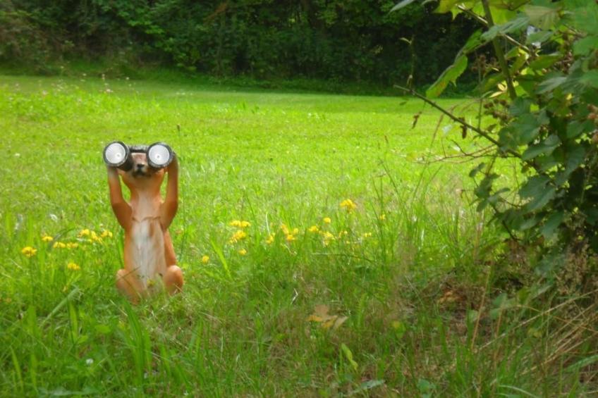 in Kuhklingen mit Großer Terrasse - foto 13