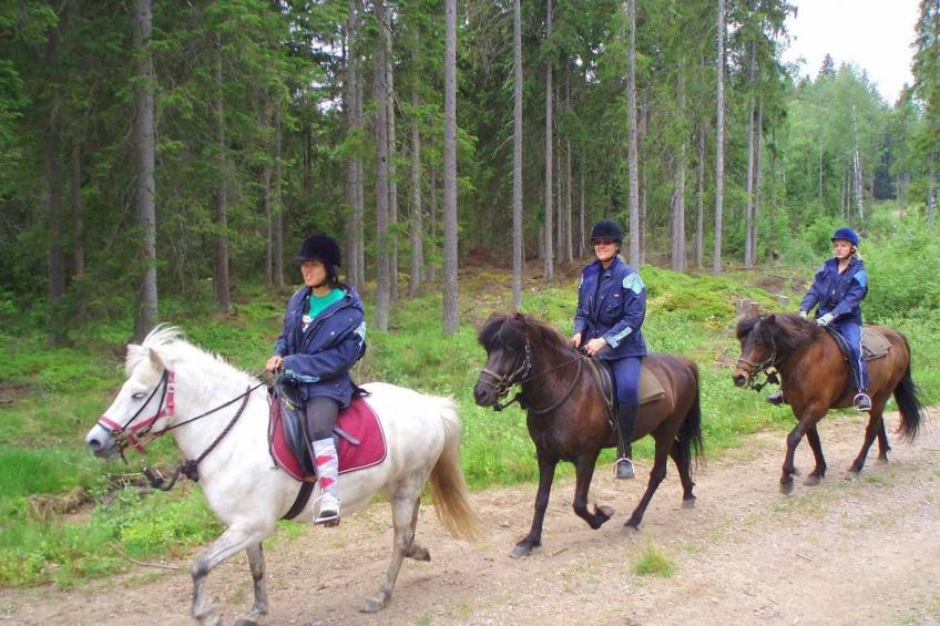 Rosenapartment - foto 25