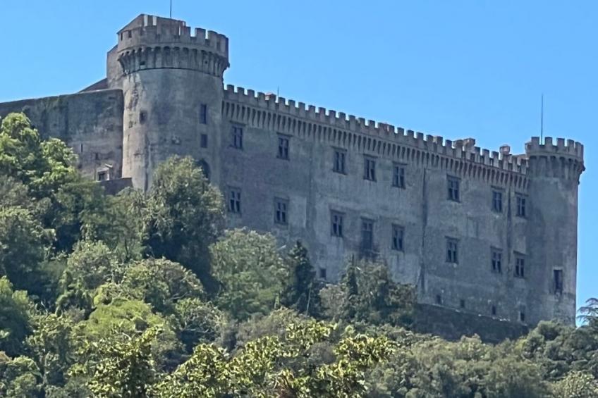 Ferienvilla mit Garten, Grill und Terrasse - foto 50