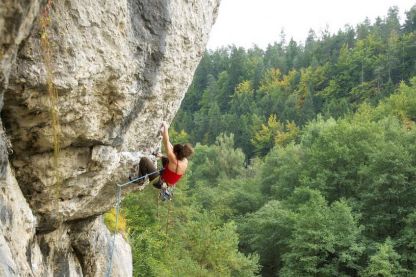 Hummelcasa - foto 46