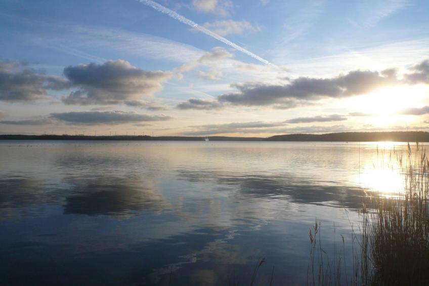 Charmante Wohnung in Dassow mit Terrasse und Grill - foto 30