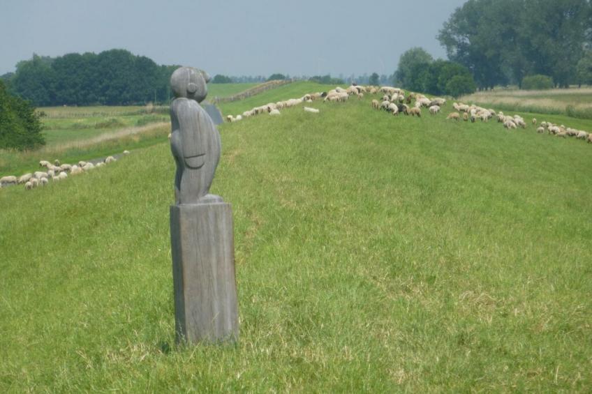 190669 - foto 22