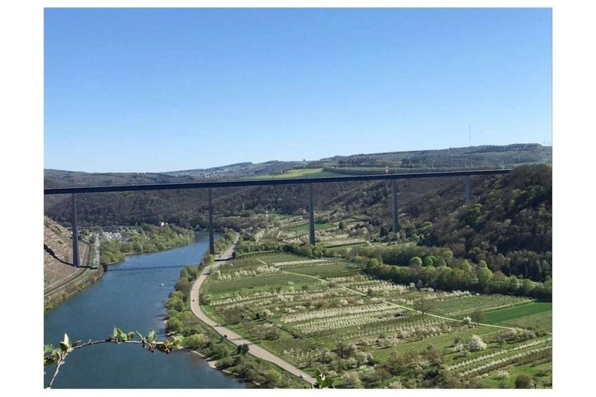 261088 - foto 42