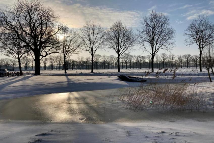 Vakantiepark De Pier 10 - foto 38